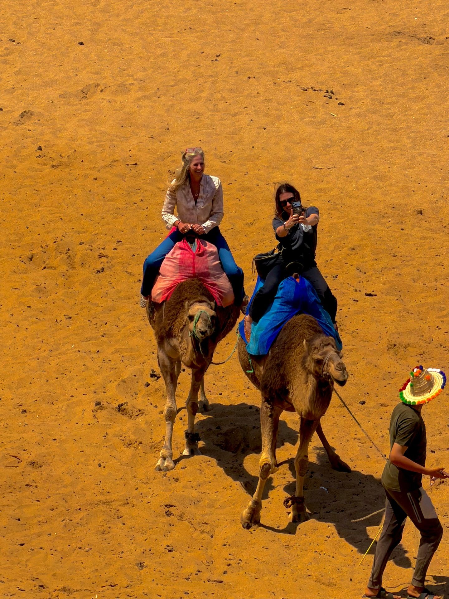 Camel ride experience in Tangier near Cap Spartel and Atlantic Ocean